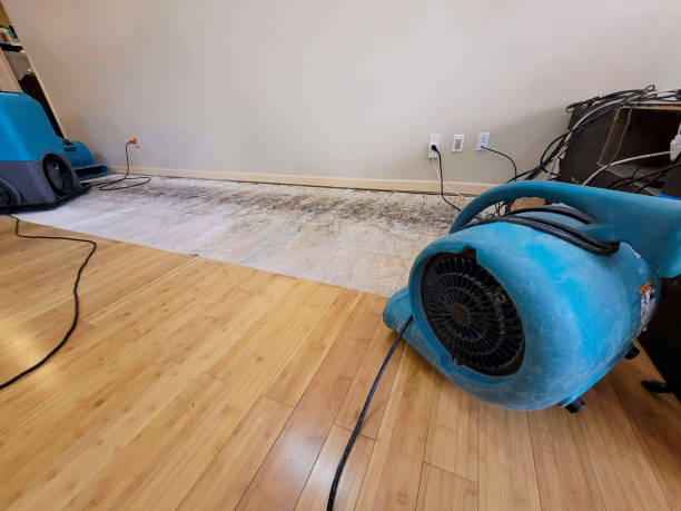 Professional Burst Pipe Water Damage technician working in Albertson, NC